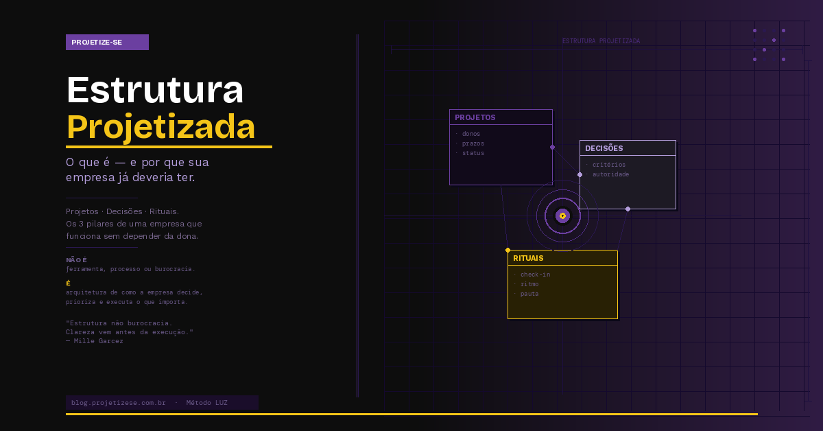 Empresária implementando estrutura projetizada na organização da empresa